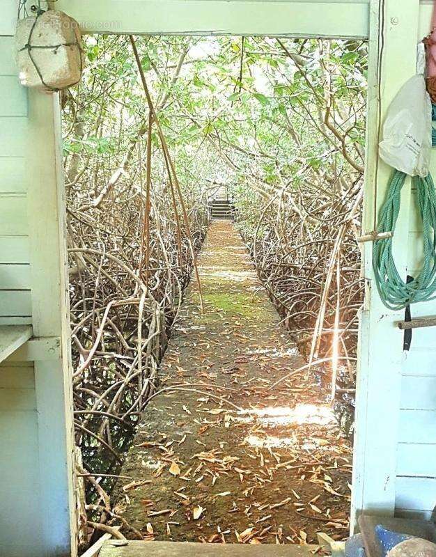 Appartement à LE VAUCLIN