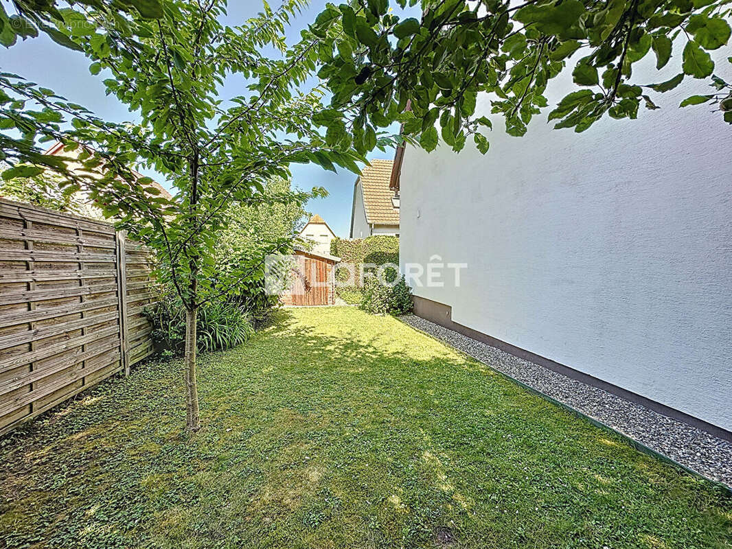 Maison à VENDENHEIM