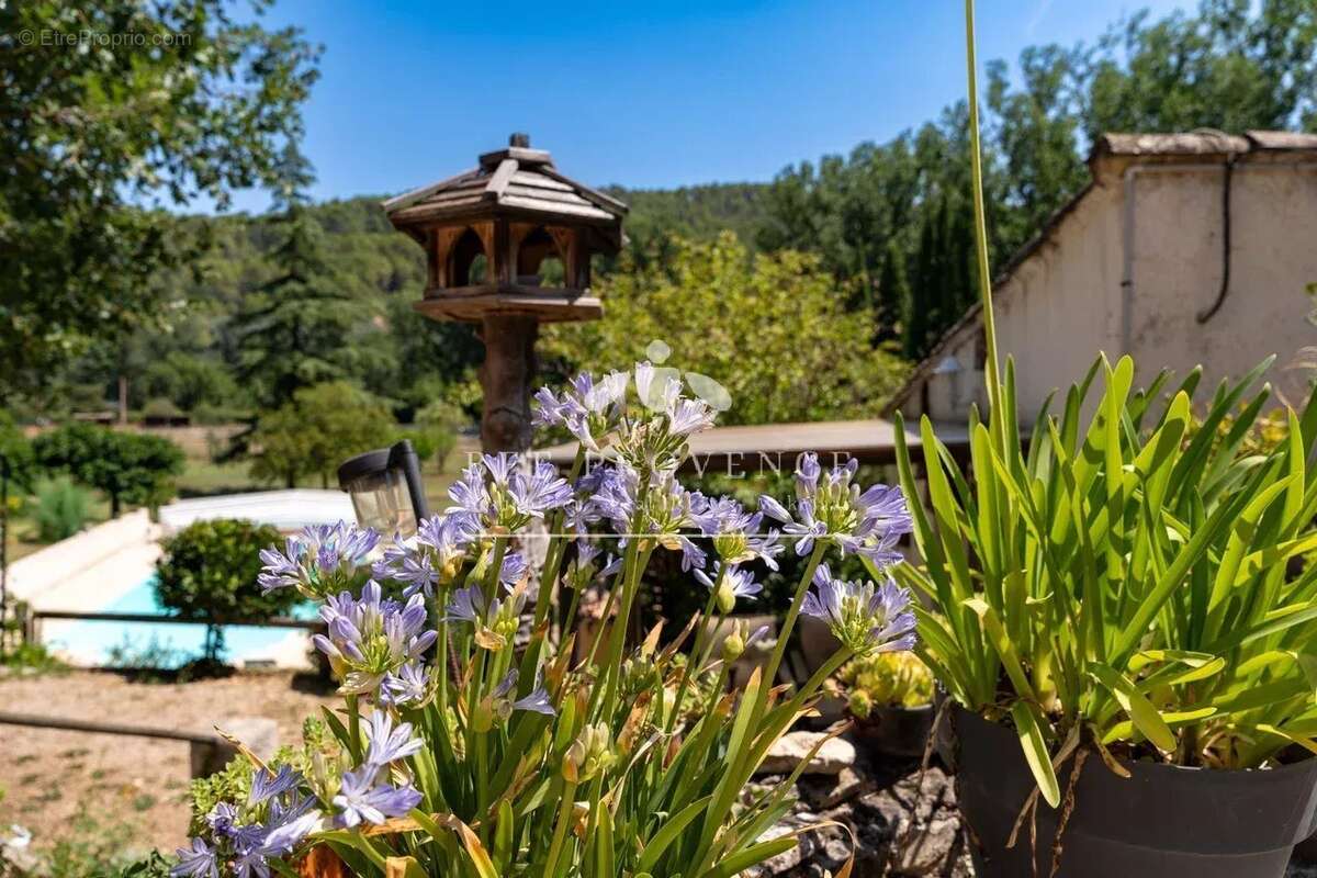 Authentique bastide provençale avec gîtes, piscine et grand terrain - photo 37