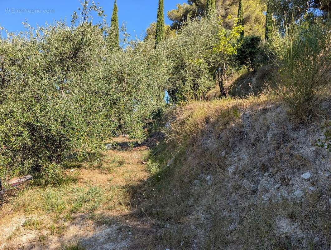 Maison à L&#039;ESCARENE