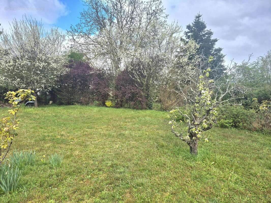 Photo 9 - Maison à ROSNY-SUR-SEINE