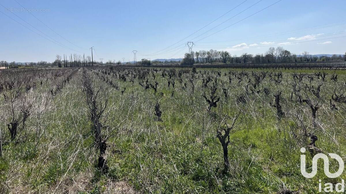 Photo 1 - Terrain à CODOLET