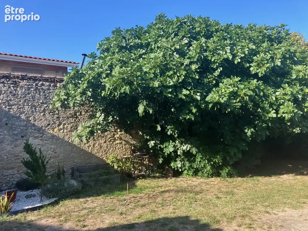 Maison en pierre rénovée avec plus de 50 m2 de dépendances et jardin arboré au cœur de Saint-Laurent-Médoc - photo 7
