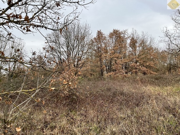Terrain à YZEURES-SUR-CREUSE