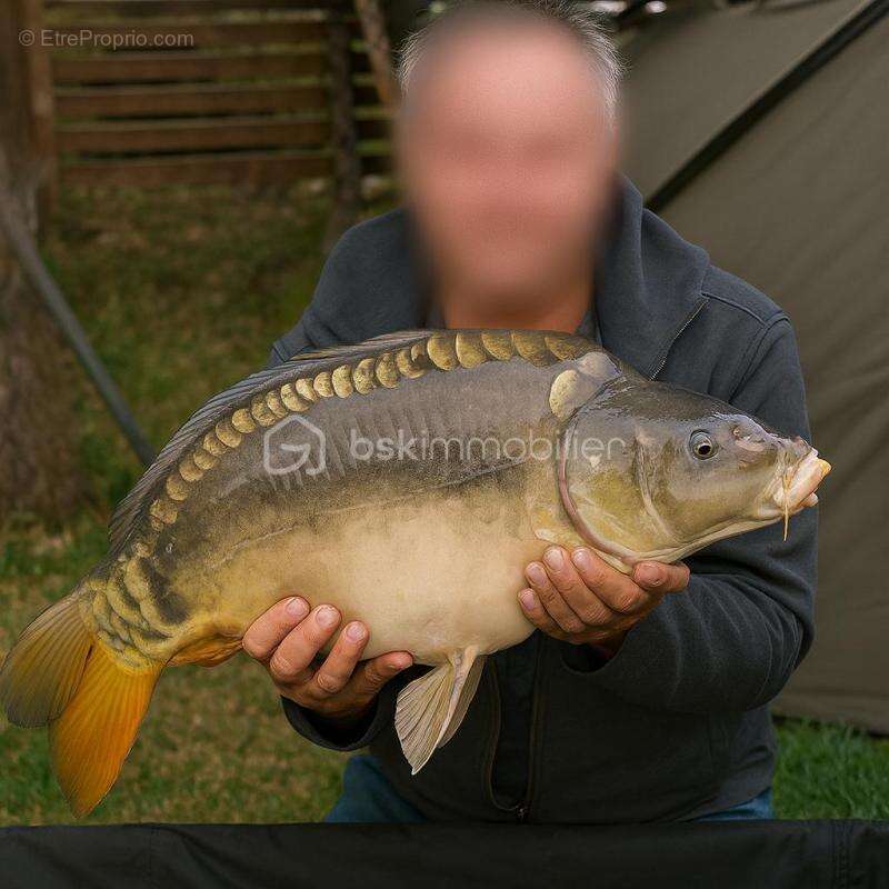 Terrain à SAVONNIERES