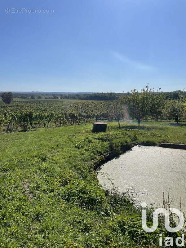 Photo 8 - Maison à COLOMBIER