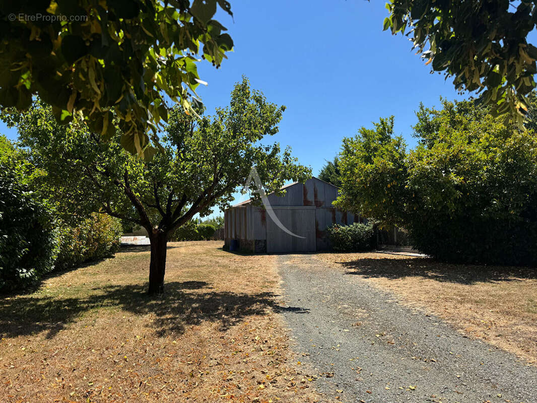 Maison  - Vix - 146 m² - photo 13