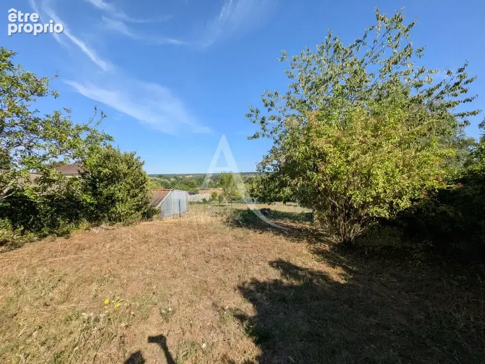 La chaussee saint victor - peripherie de blois. - photo 15