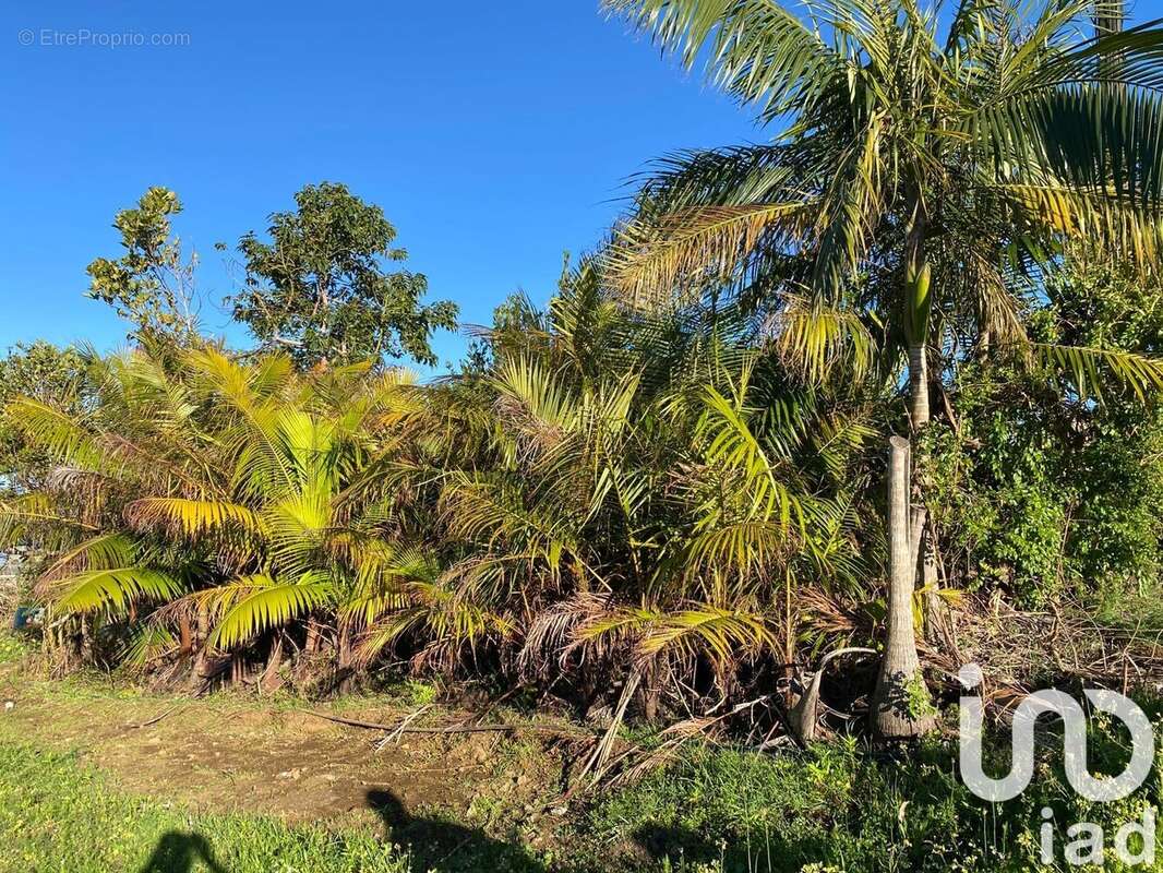 Photo 6 - Maison à LES AVIRONS