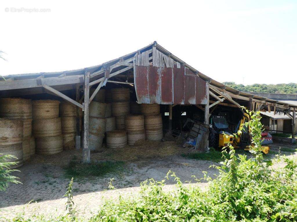 Exploitation agricole - photo 13