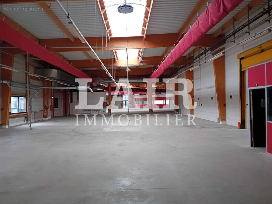 Commerce à BERD&#039;HUIS