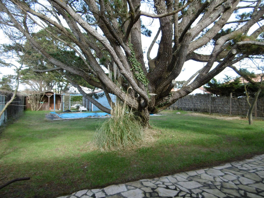Maison à SAINT-HILAIRE-DE-RIEZ