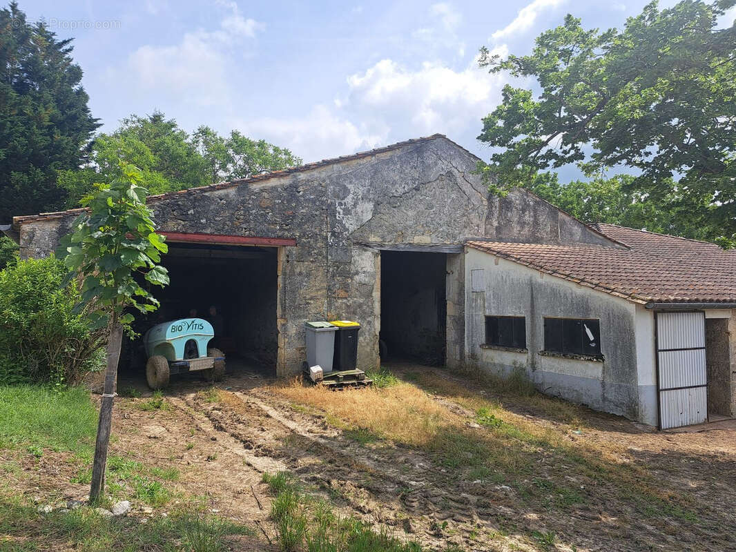 Propriété viticole - photo 10
