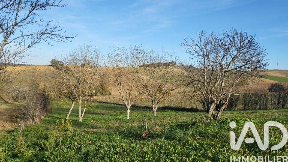 Photo 1 - Terrain à MONTGAILLARD