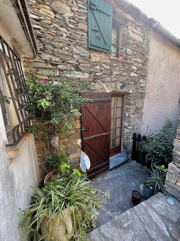 Photo 2 - Maison à SAN-MARTINO-DI-LOTA