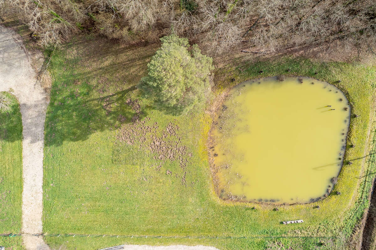 Terrain constructible - Thenioux, avec un étang - 4322 m²  - - photo 4