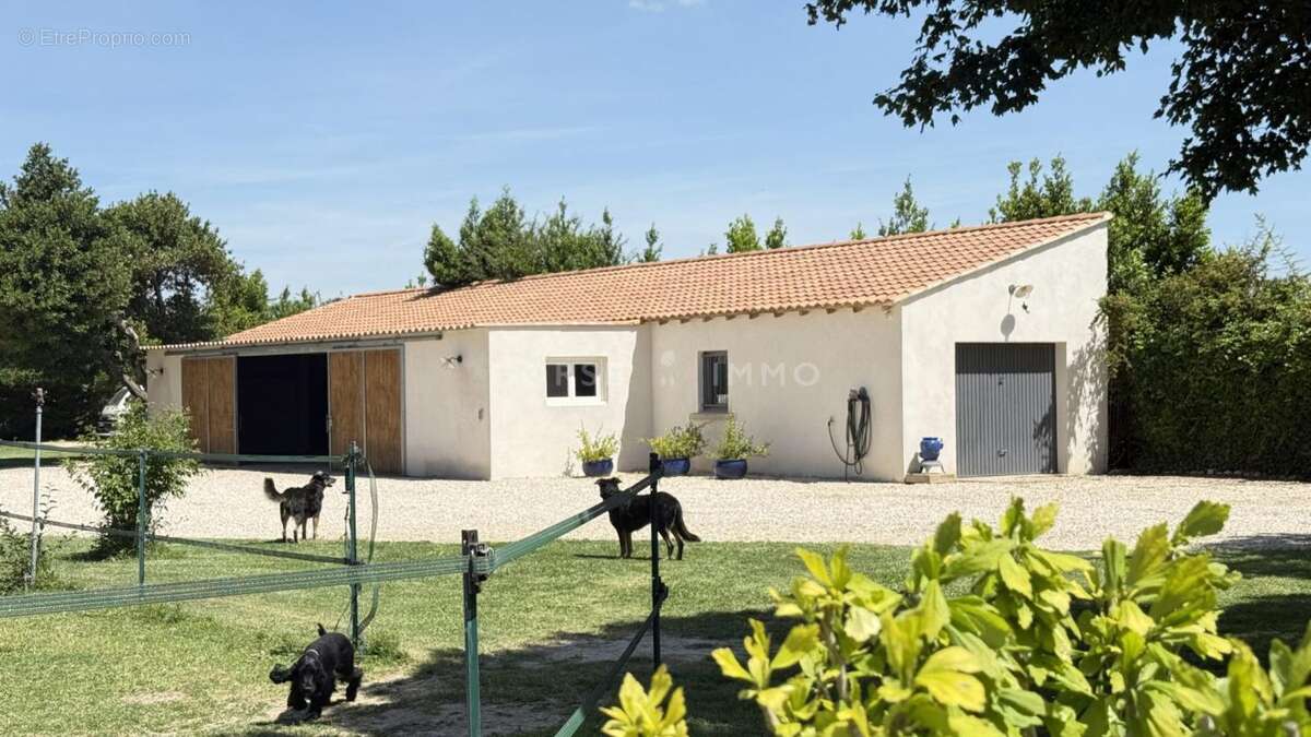 Propriété équestre de charme en campagne de Beaucaire - photo 9