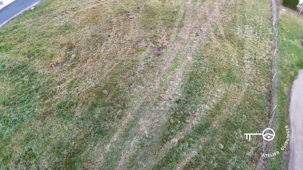 Terrain à MONTRIEUX-EN-SOLOGNE