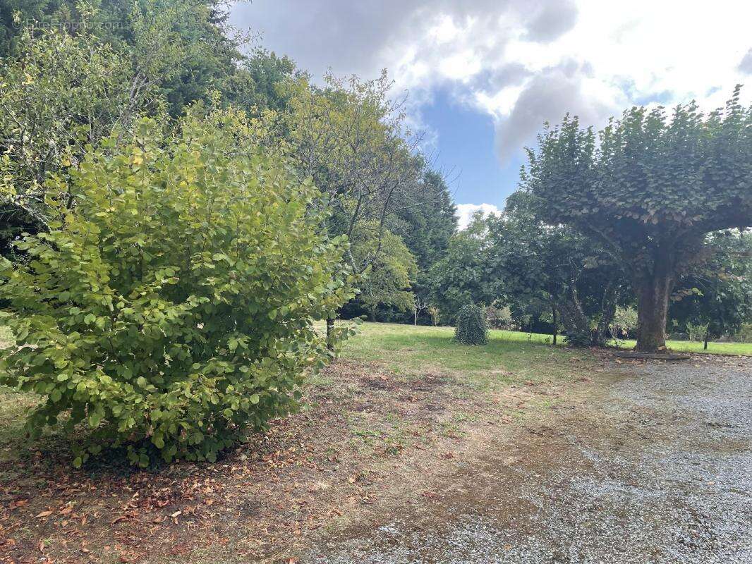 Maison à LANOUAILLE