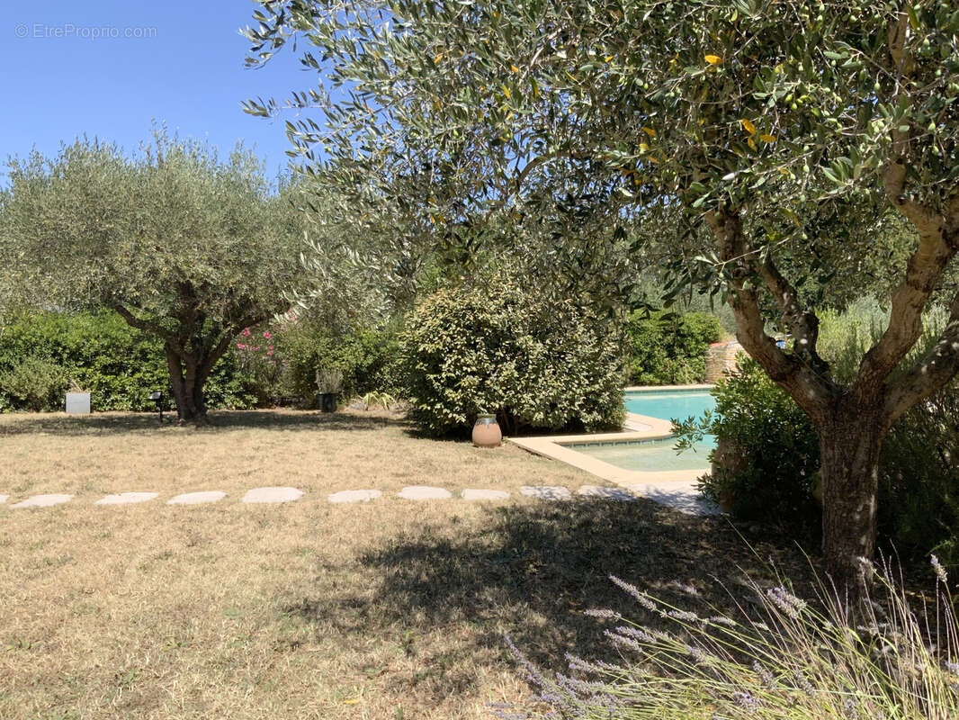 Charmante maison spacieuse avec terrain arboré et piscine. - photo 7