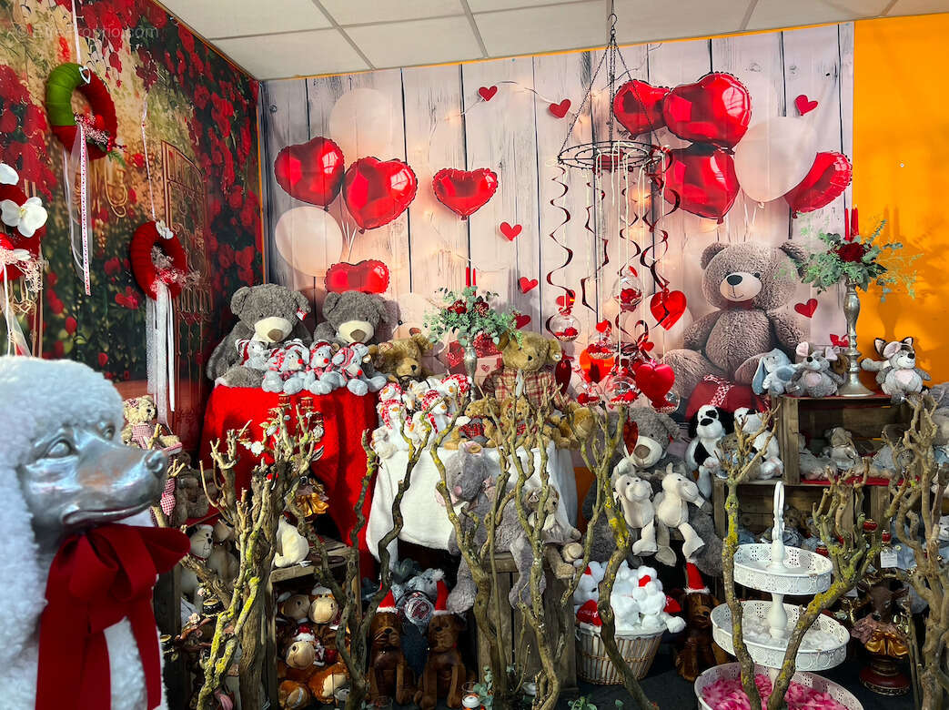 Fonds de commerce Fleuriste Vierzon centre-ville - photo 7