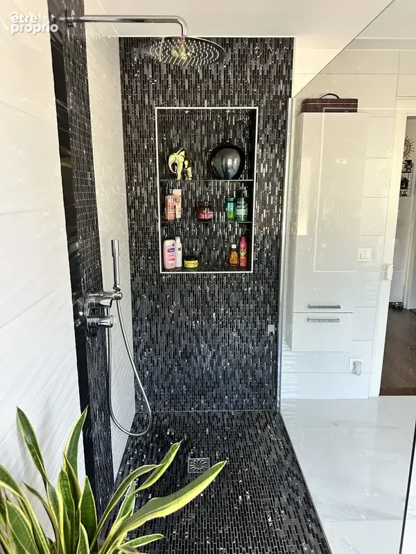 Une exclusivité dagon immobilier ! - photo 13