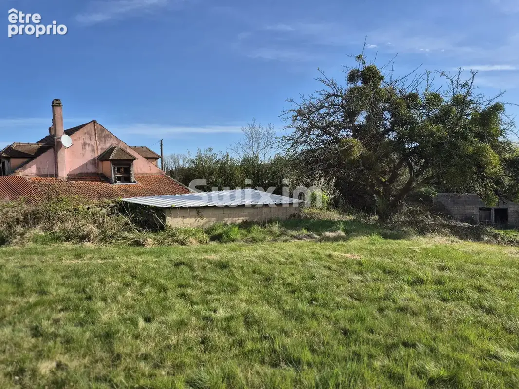 Maison à rénover avec 5 500 m² de terrain, calme, beau potentiel - photo 12