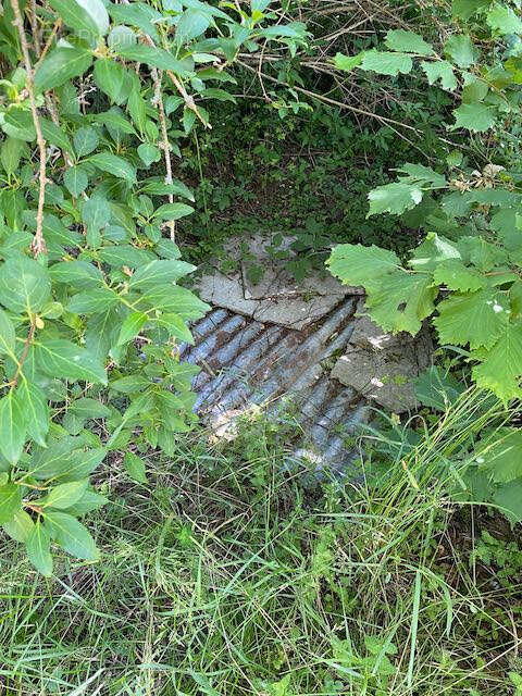 Terrain à BOURG-LE-COMTE