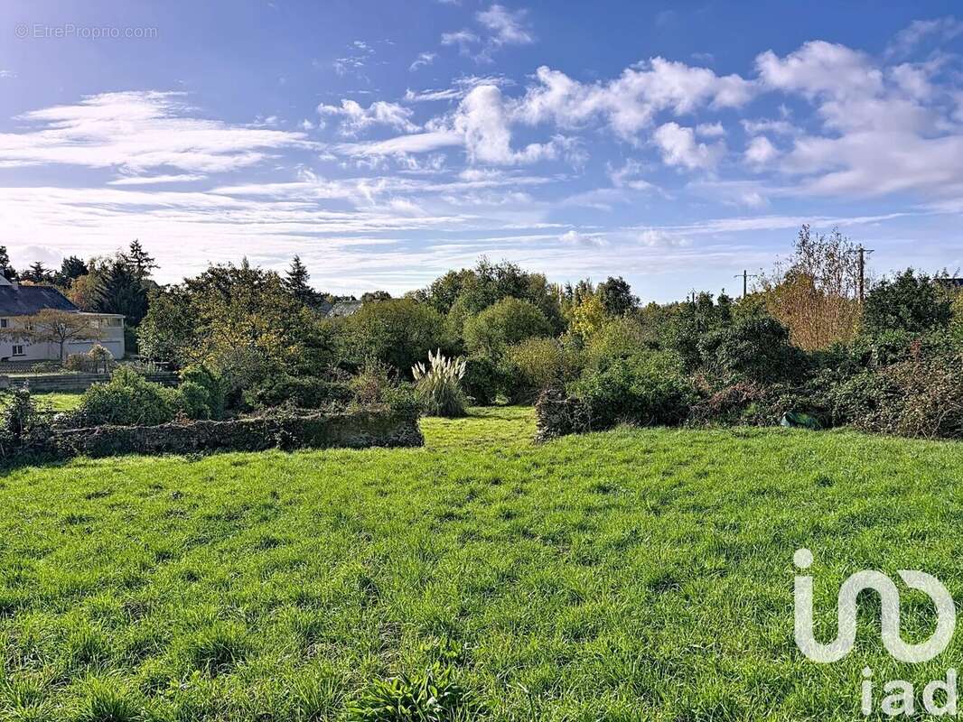 Photo 2 - Terrain à BEAULIEU-SUR-LAYON