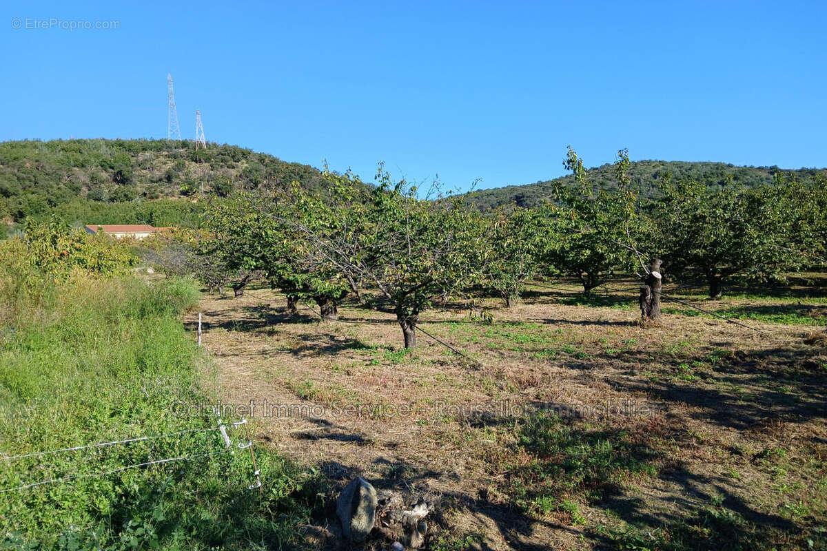 Terrain à CERET