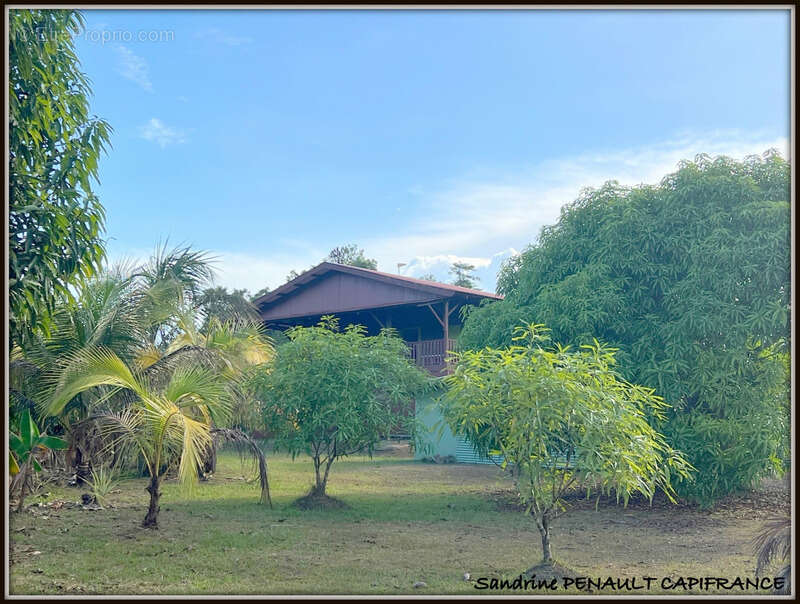 A vendre a kourou (97310 guyane française) une magnifique maison de campagne t4 de 103 m² sur un terrain de 5000 m² - au prix de - photo 4