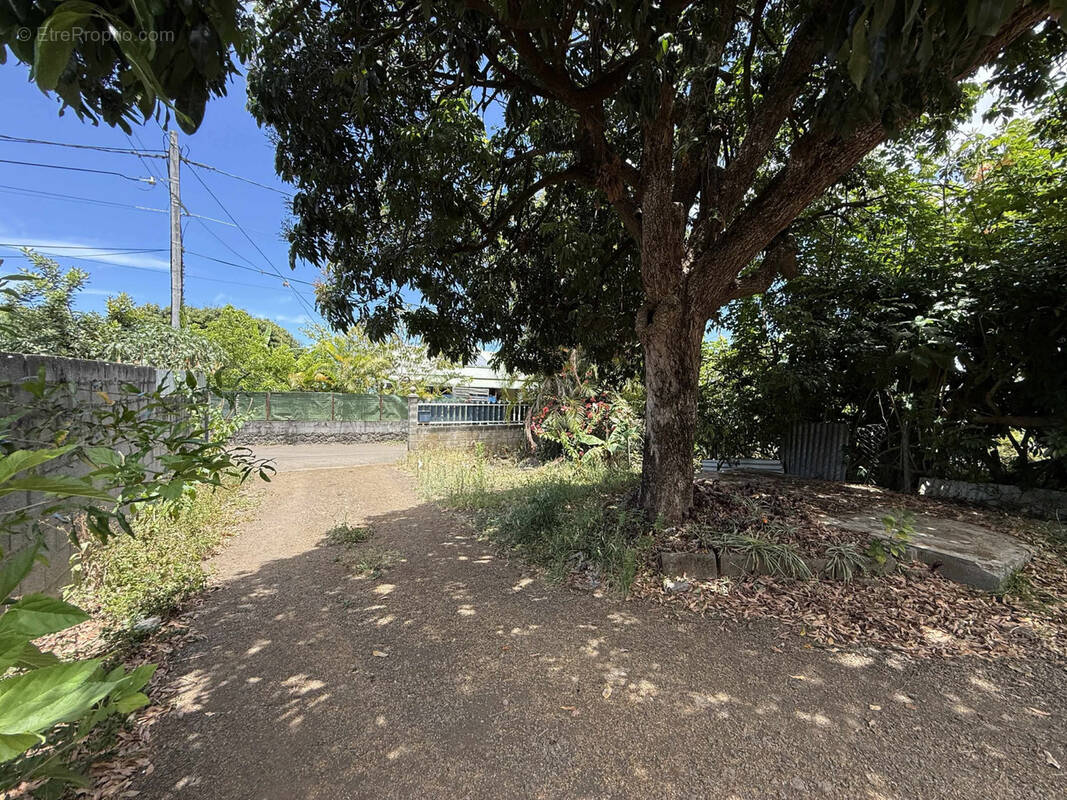 Terrain à SAINT-PIERRE