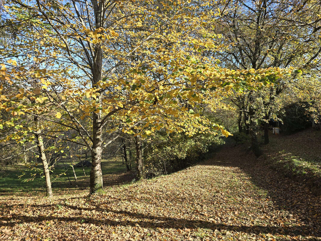 Maison à LISLE-SUR-TARN