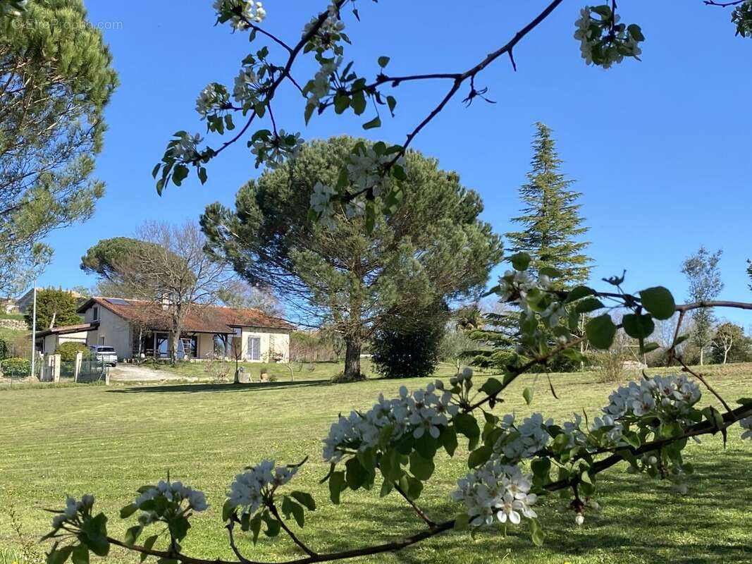 Maison à CONDOM