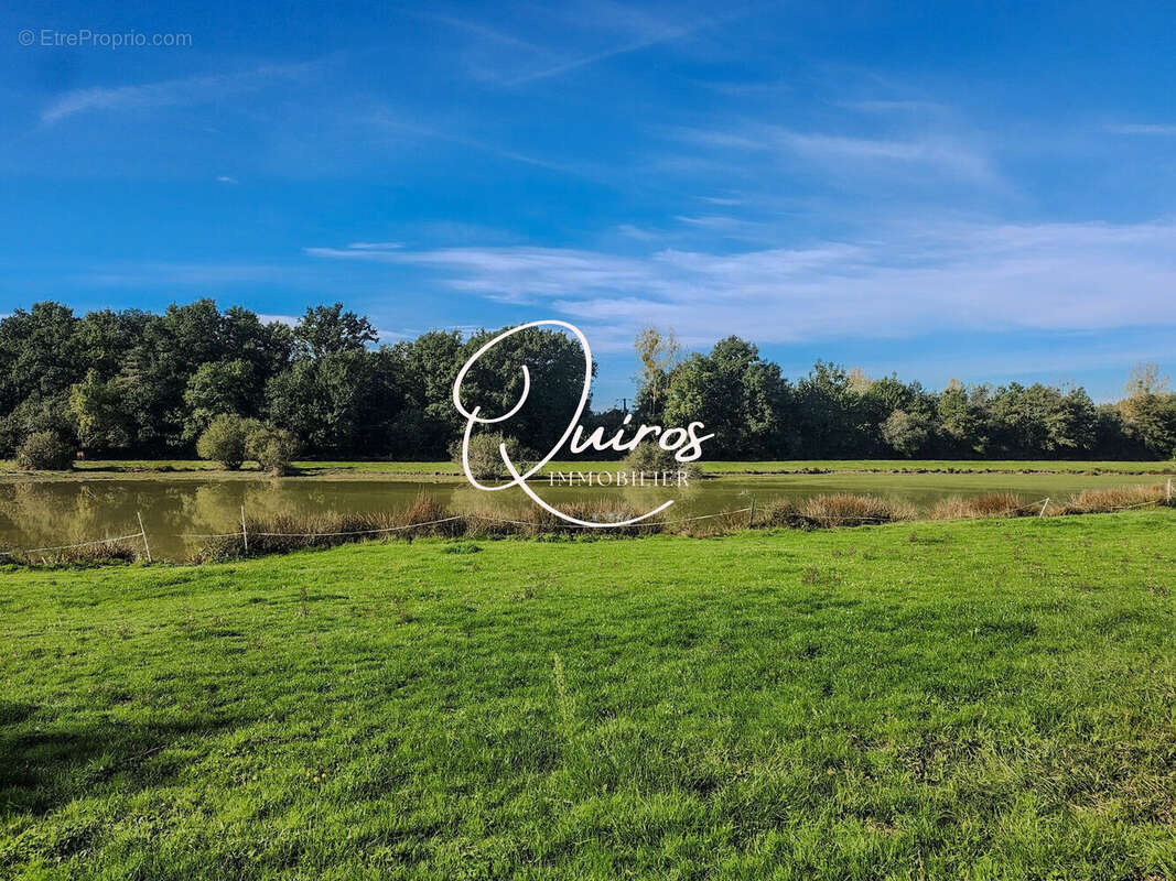 Etang - Maison à LAMOTTE-BEUVRON