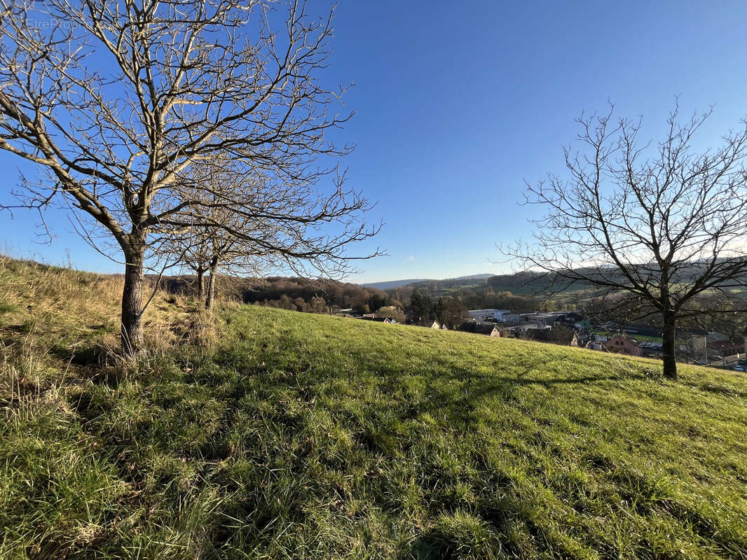 Terrain à WALDIGHOFEN