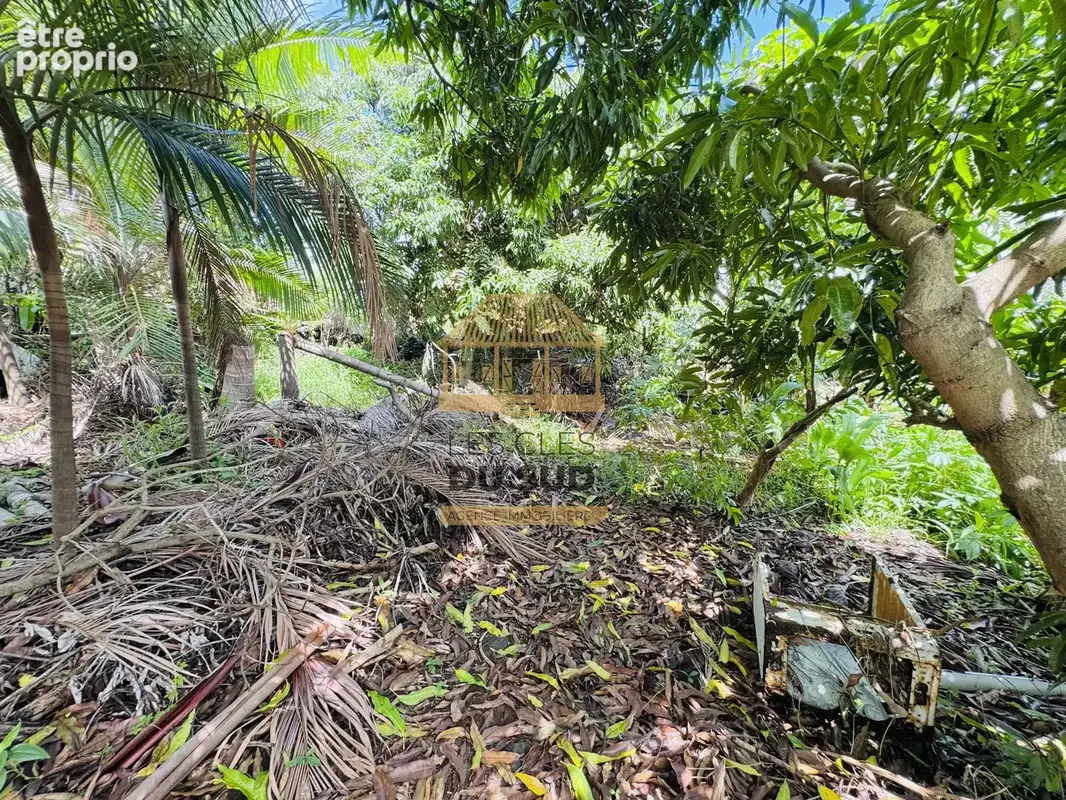 Saint-joseph les bas – maison f3/4 avec grand terrain de 1000 m² + fort potentiel – secteur calme - photo 4