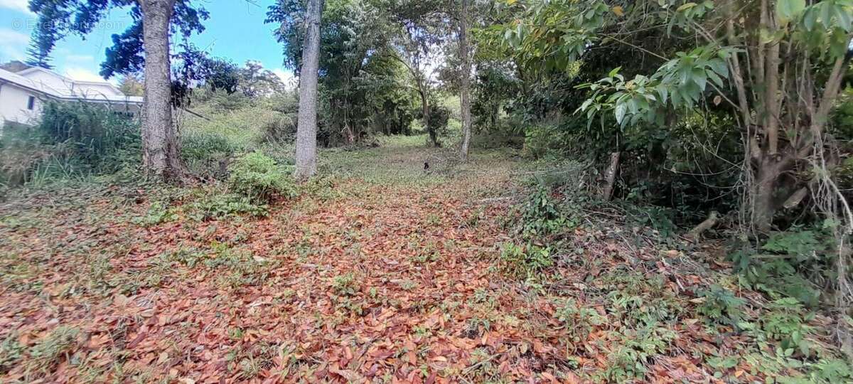 Terrain à CASE-PILOTE