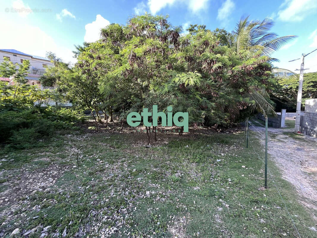 Terrain à LE GOSIER