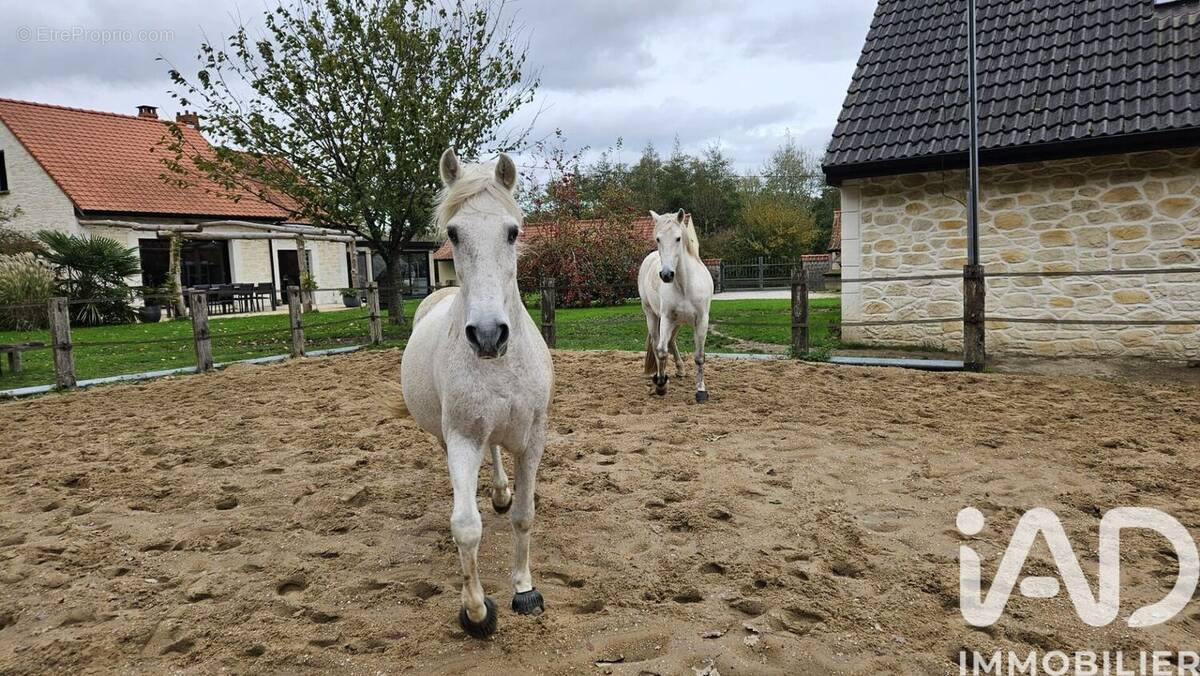 Photo 1 - Maison à LONGUEVILLE