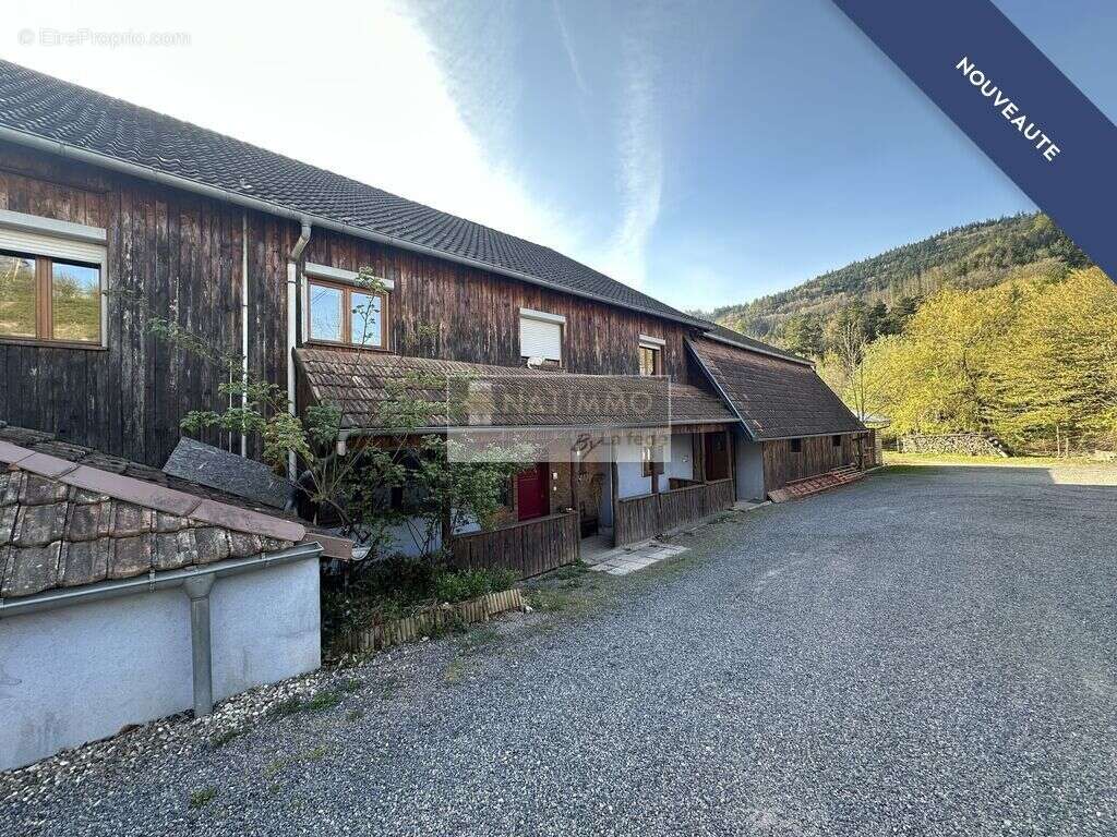 Maison à STEIGE