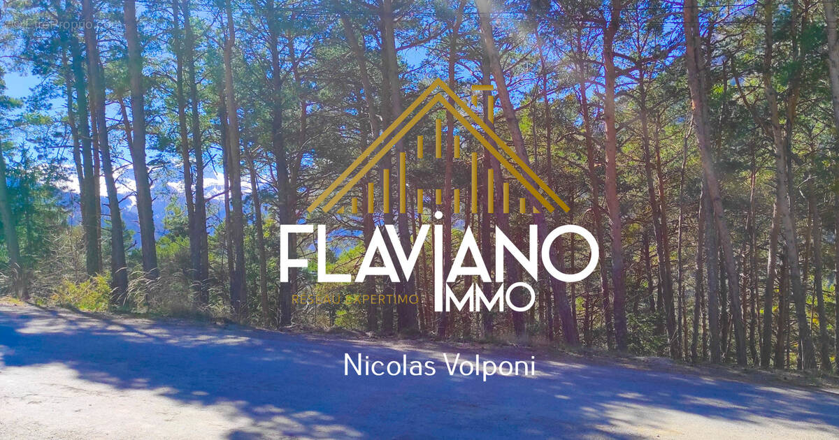 Terrain à BARCELONNETTE