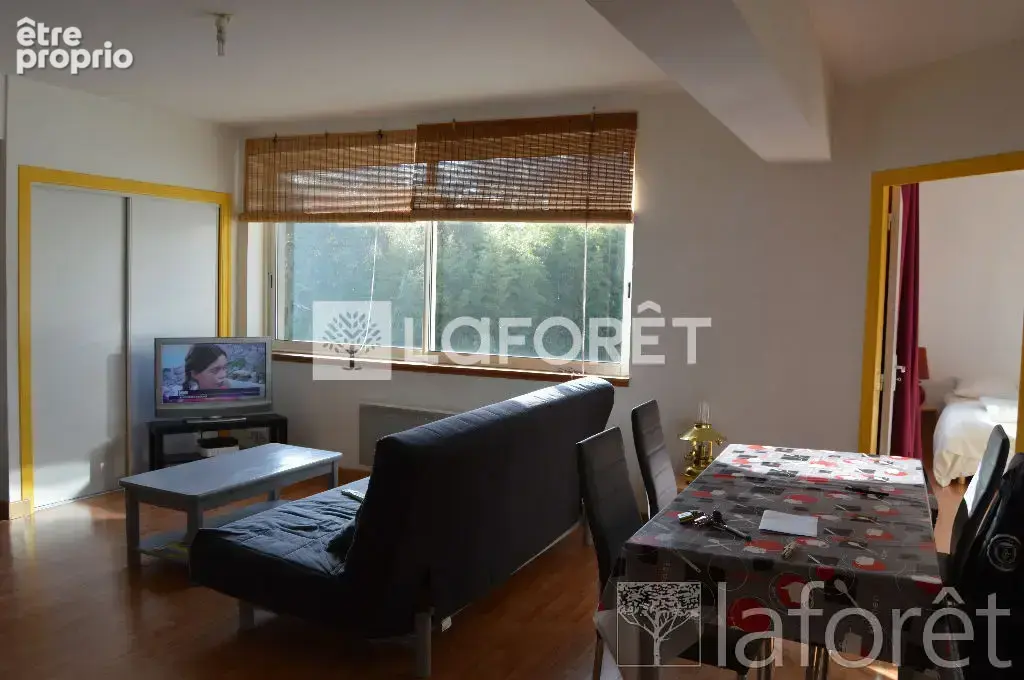 Immeuble PLONÉOUR-LANVERN 9 Pièces 180 m² - photo 6