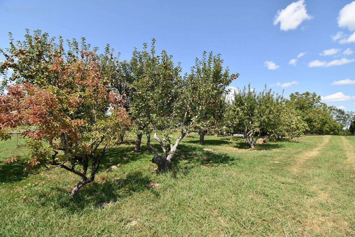 Maison 5 minutes de PONTONX  159 M2 SUR TERRAIN DE 6000 M2 - photo 16