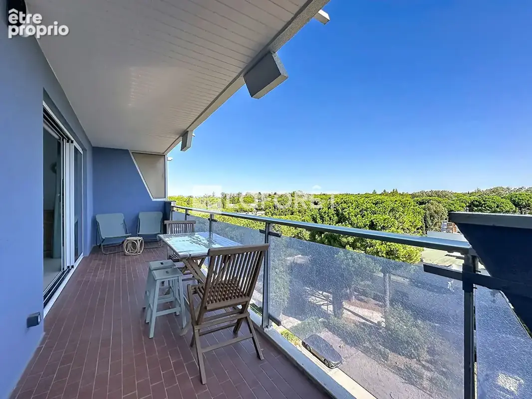 Studio rénové de 32 m² avec coin nuit, terrasse de 15 m² et vue panoramique sur la pinède - photo 5