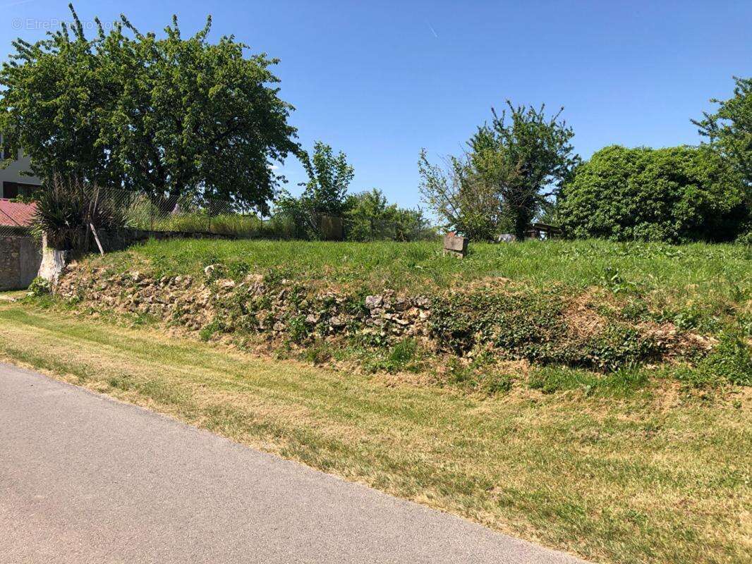 Terrain constructible de 1 220 m²; Environnement calme et cadre de vie privilégié - photo 2