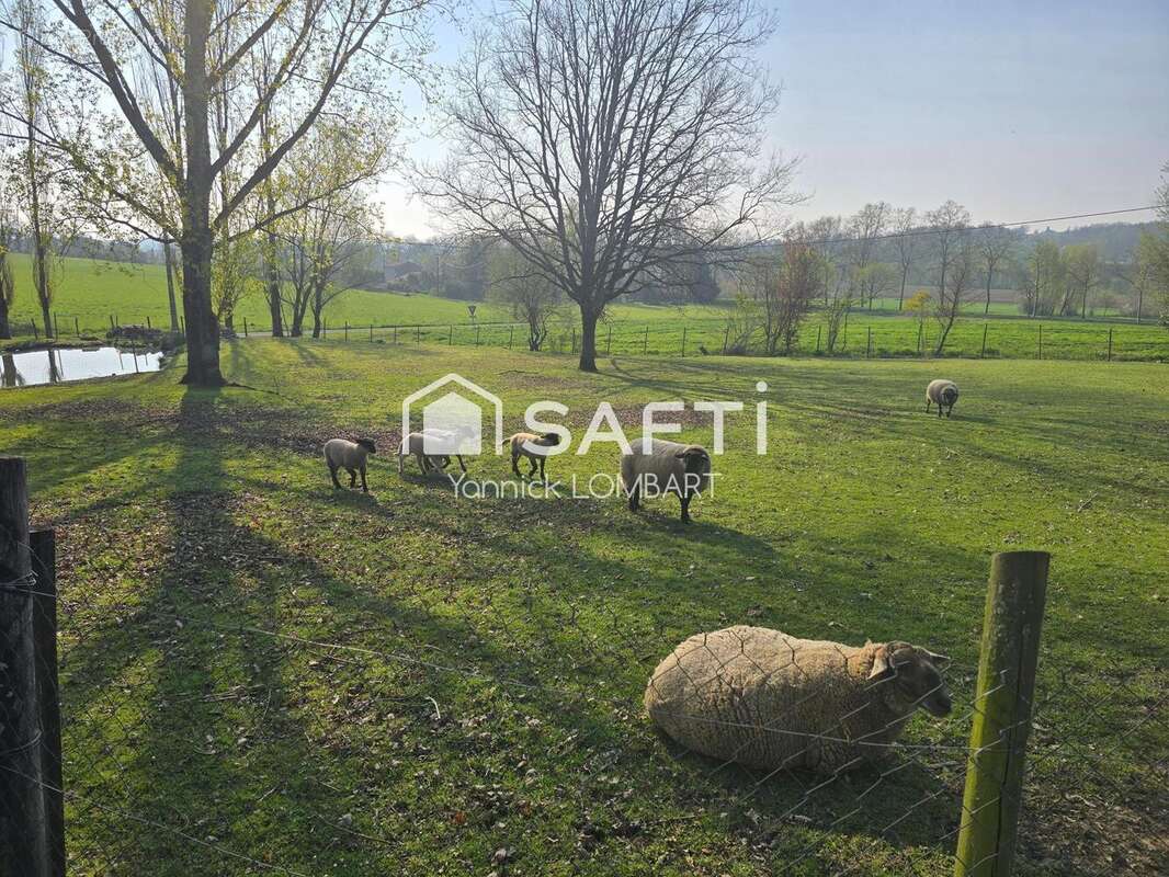 Maison 167 m² à La Sauziere-Saint-Jean  - photo 9