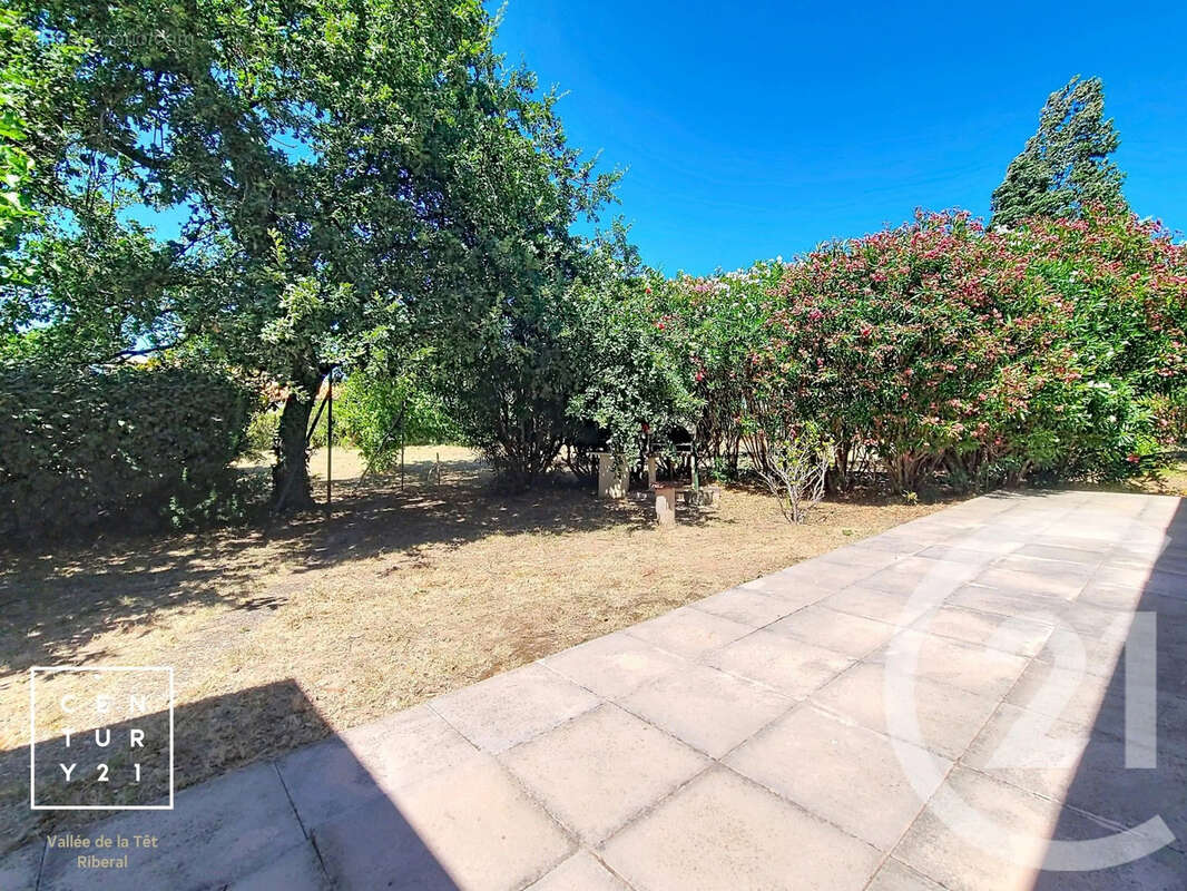Maison 191 m² à Toulouges  - photo 18