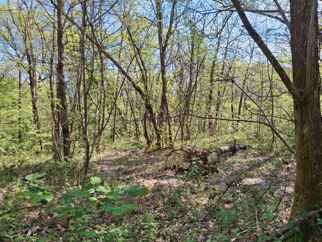 Terrain à BOUILLAC