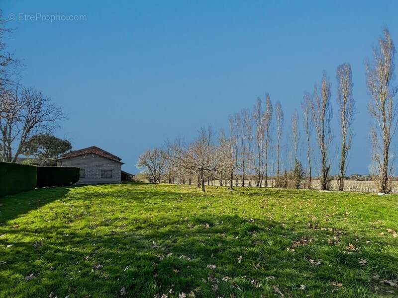 Maison à PARLEBOSCQ